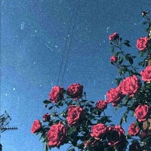 Meet your Posher, Kiera